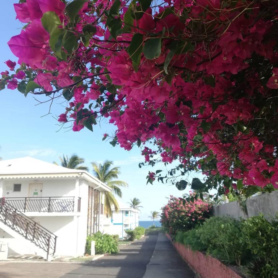 Studio Vue Mer Piscine Plage Kaz Punch Manganao Chez Julie Saint-Francois (Grande-Terre) Exterior foto